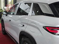 بي واي دي سونغ L DM-i